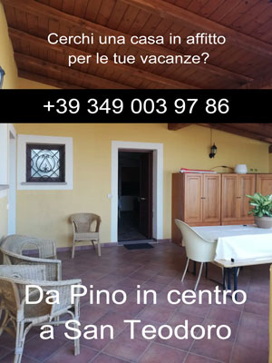 Casa Vacanze